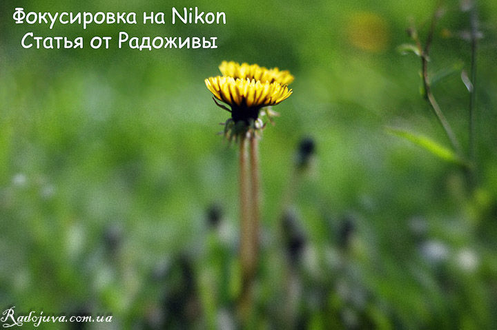 Фокусировка на Nikon